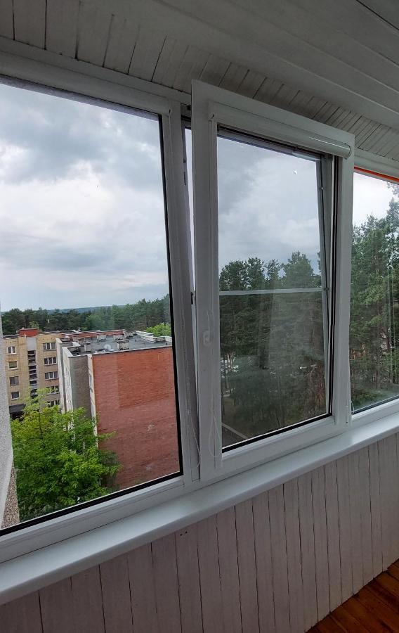 Apartment Patogus Poilsis Prie Ezero/comfortable Rest