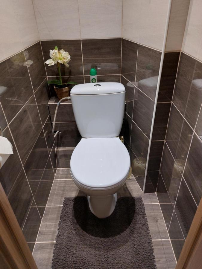 Patogus Poilsis Prie Ezero/comfortable Rest Apartment *