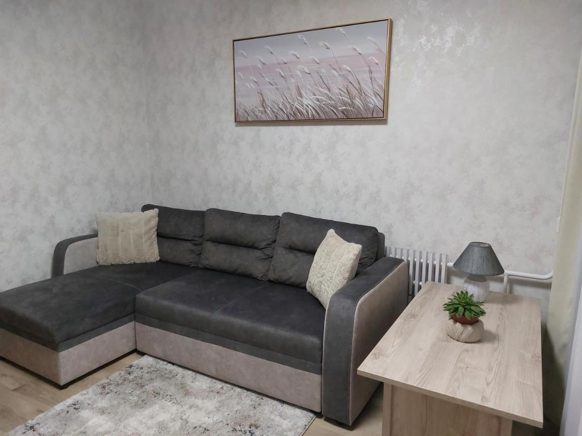 Patogus Poilsis Prie Ezero/comfortable Rest Apartment Visaginas