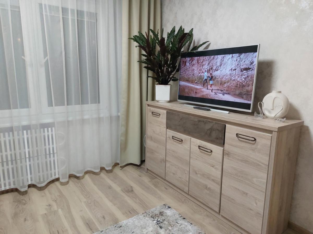 Apartment Patogus Poilsis Prie Ezero/comfortable Rest